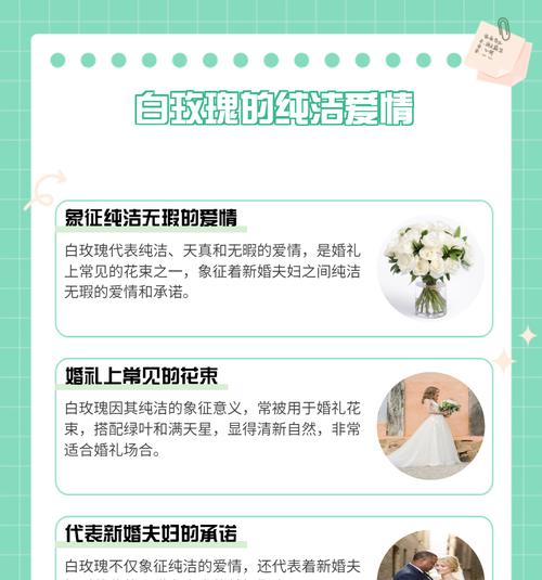 凋零白玫瑰的花语寓意何在？