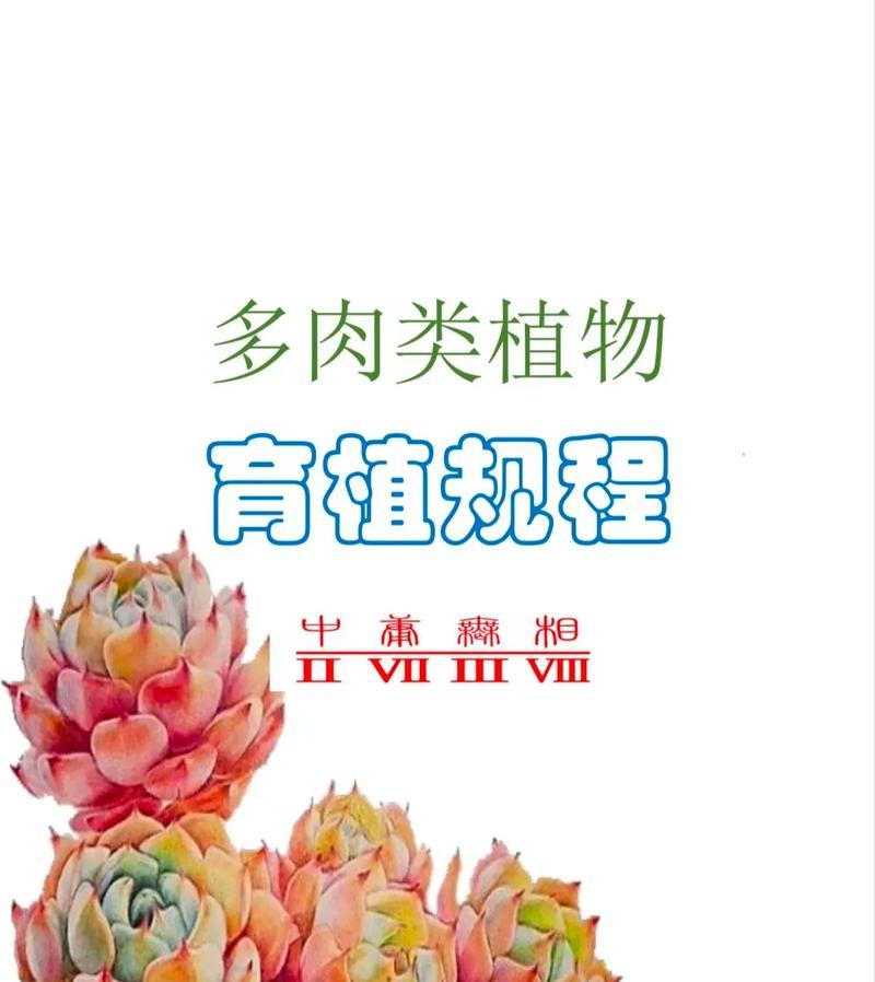 多肉植物的花语是什么？有何特别含义？