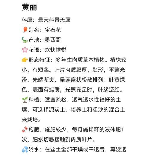 多肉植物的花语是什么？有何特别含义？