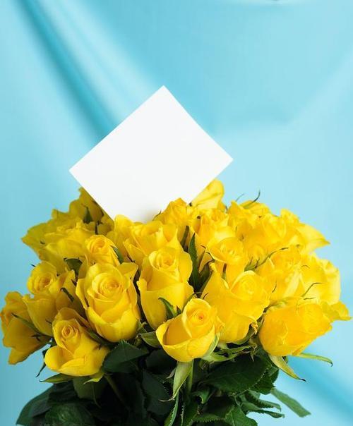 黄花玫瑰的寓意是什么？它的花语有何特别？