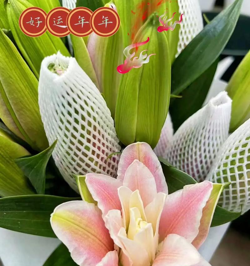 如何用词语形容花语？花语通常用哪些词来表达？