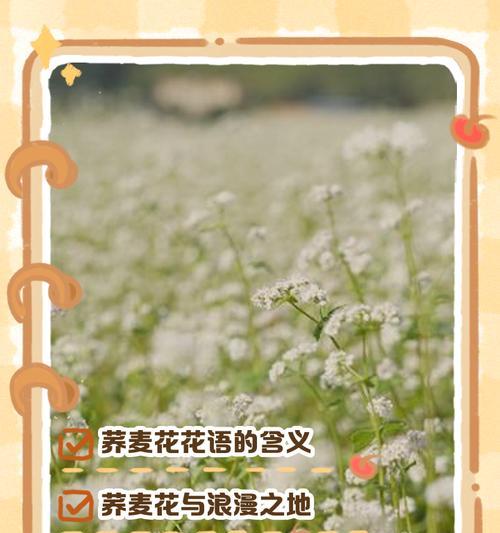 诅咒恋人的花语具体是什么含义？