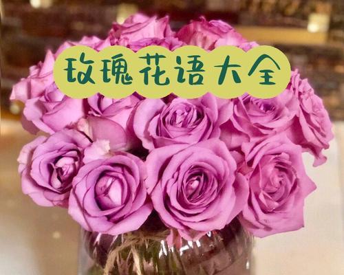 诅咒恋人的花语具体是什么含义？