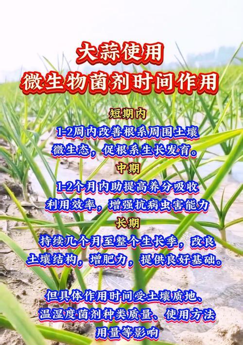 大蒜花语有何寓意？大蒜在花语中代表什么？
