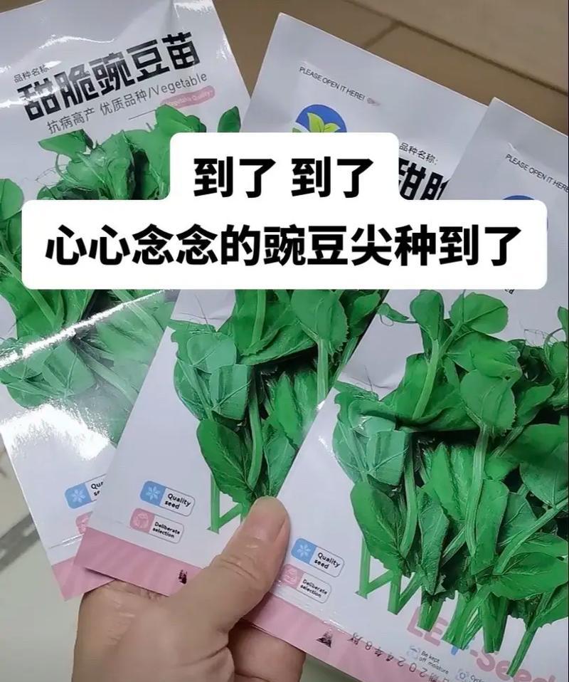 豌豆尖的花语是什么谜语呢？你能猜出这个花语的谜底吗？