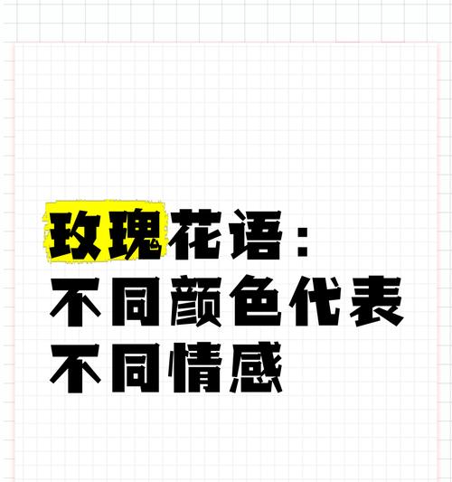 玫瑰仍然是玫瑰的花语是什么？它代表了哪些情感？