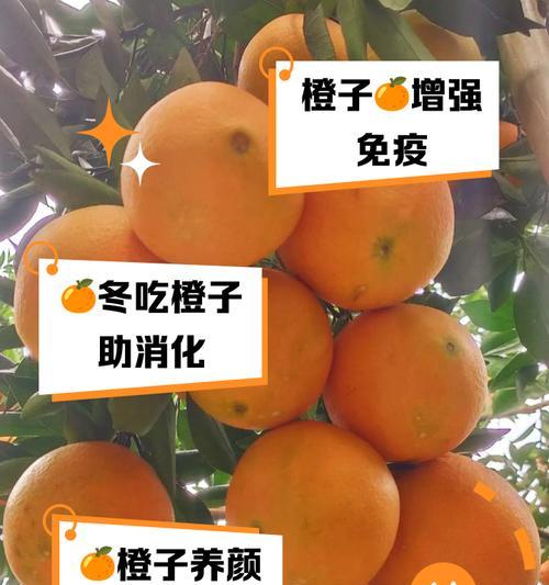 橙子花语代表什么？送女朋友橙子有何深意？