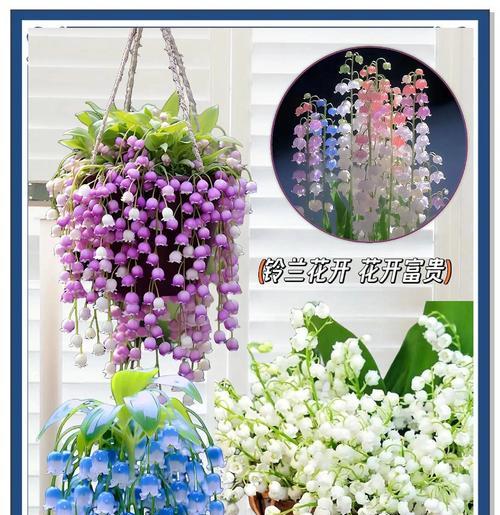 白色的铃兰花的花语是什么？代表死去的挚爱的花语是什么？