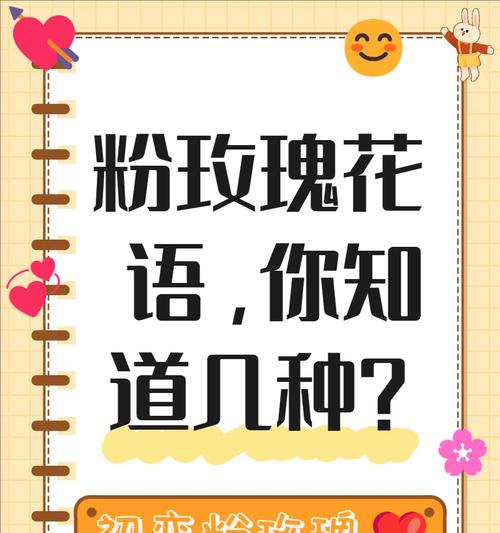 送新人玫瑰花有何寓意？它的花语含义是什么？