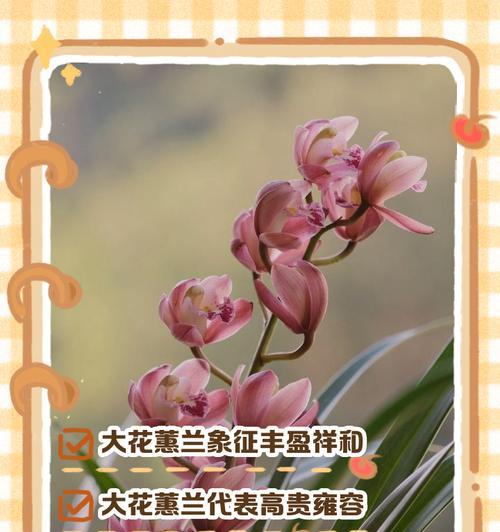 女人送男人什么花最合适？花语代表什么意义呢？