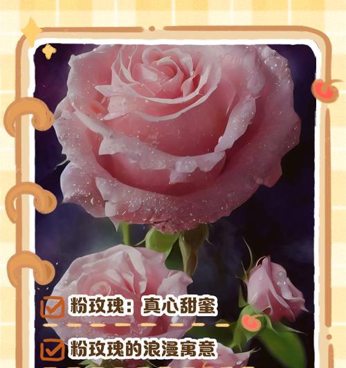 青玫瑰和粉玫瑰的花语有何不同？各自代表什么？