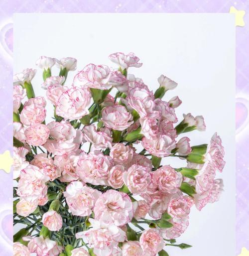 爱与喜欢的花语是什么意思？花语如何表达爱慕之情？