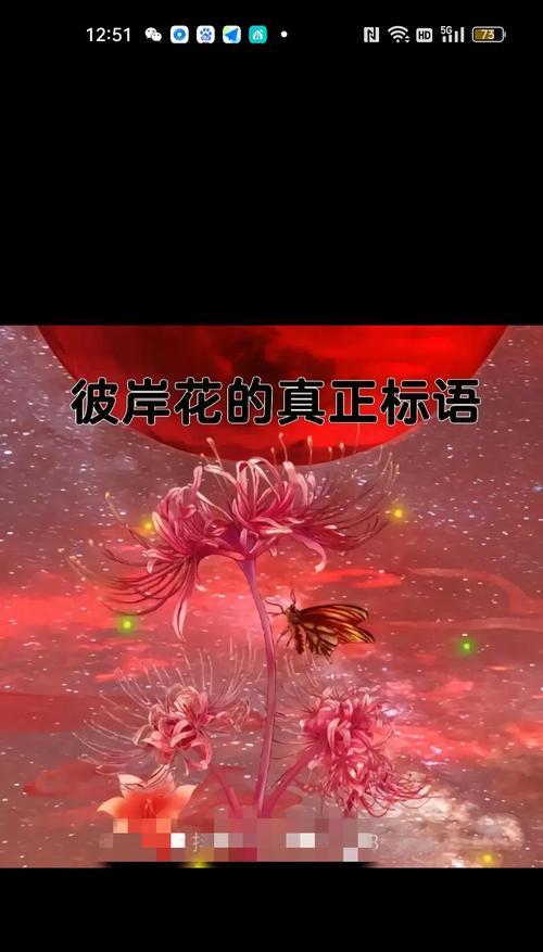 哪种花的花语是等待？表达怎样的情感？