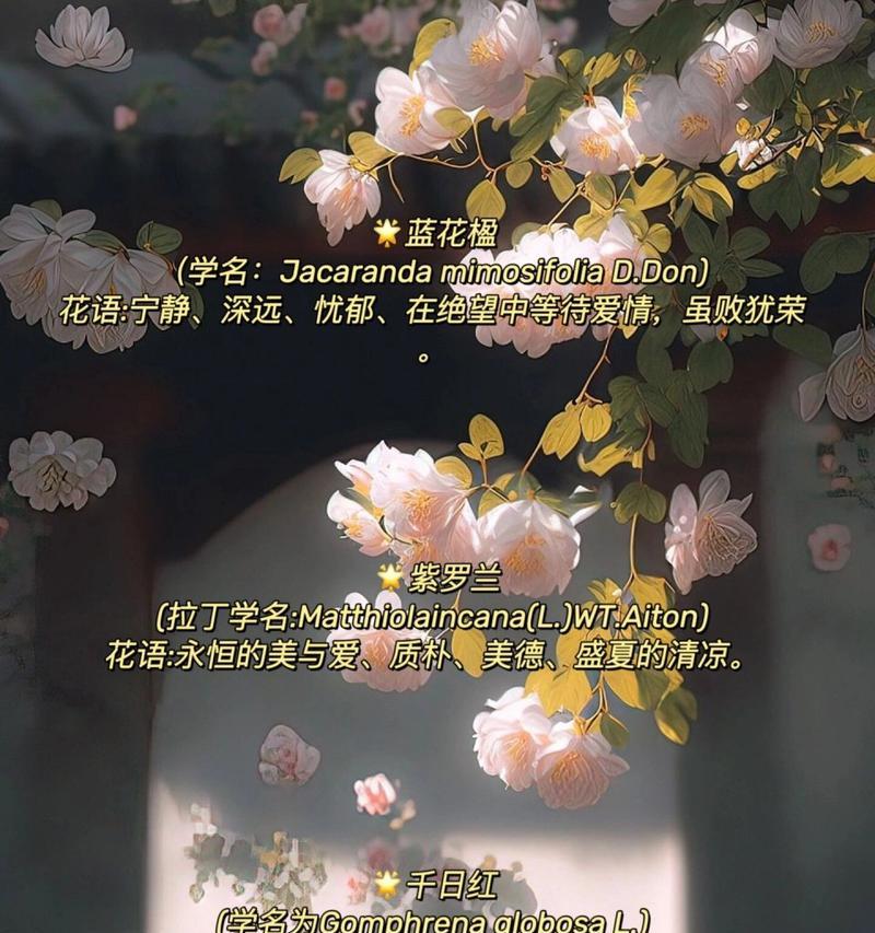 玫瑰骑士送花时的花语有何深意？
