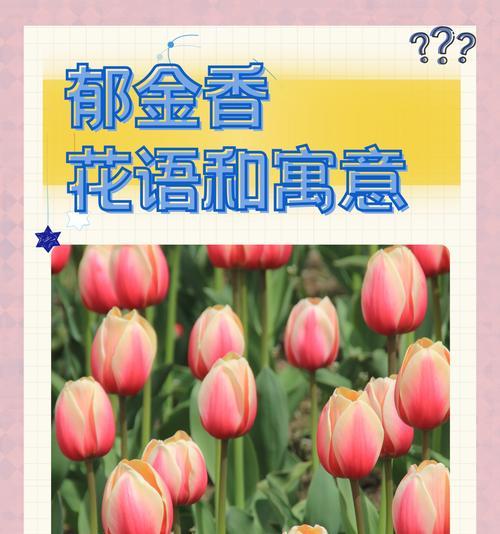 哪种花语象征爱情的终结？