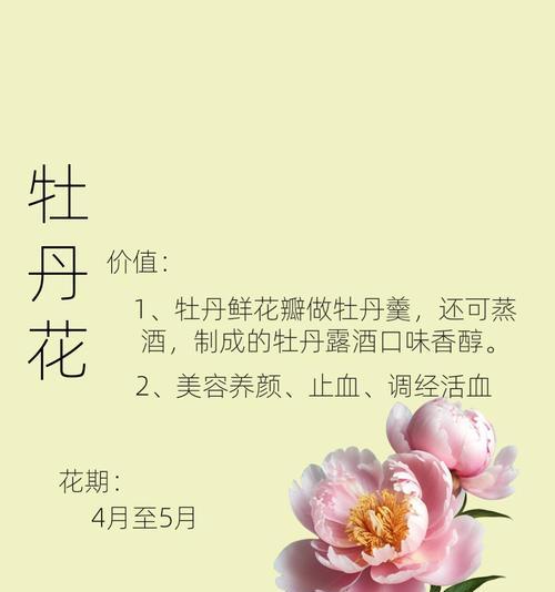 催花牡丹的花语具体指什么？