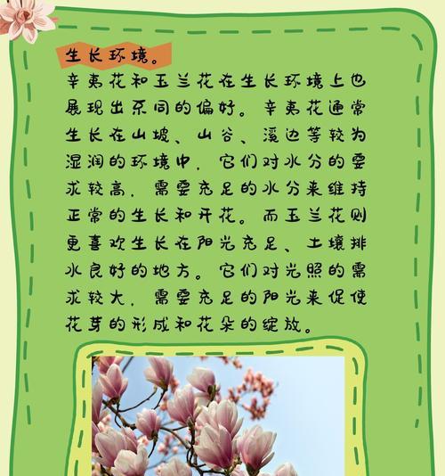 棉花和玉兰花的花语分别是什么？