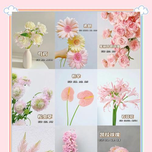 什么仙的花语？哪种花代表了仙气？