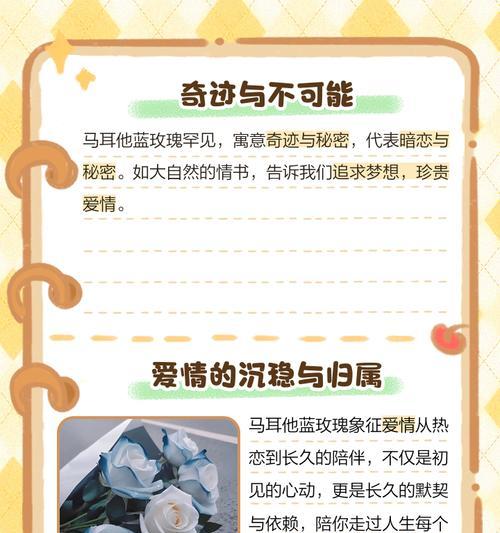 蓝玫瑰的花语是什么？代表了哪种情感？