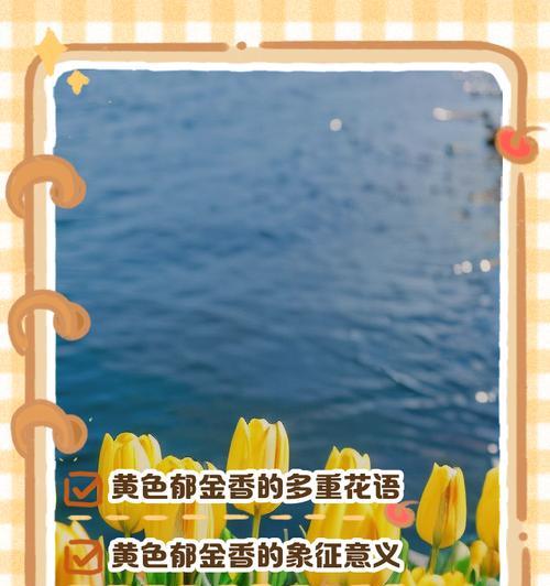 郁金香开花时的花语有何特殊含义？它代表了什么？