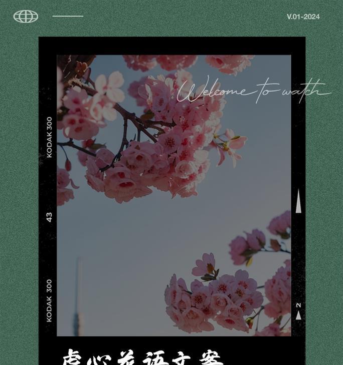 哪种花的花语能让人感动落泪？