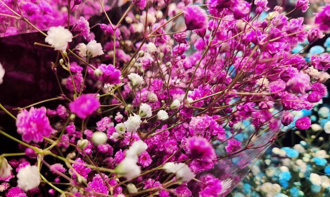 花束中花语重要吗？为什么要在意花语？