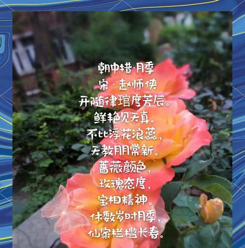 花的花语诗句及其作用是什么？