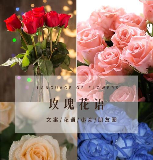 红白玫瑰组合的花语是什么？