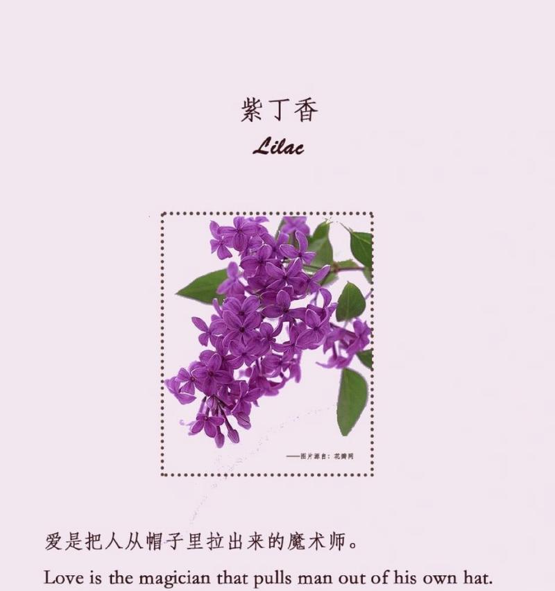 爱的花语为何要人尽皆知？表达爱意的方式有哪些？