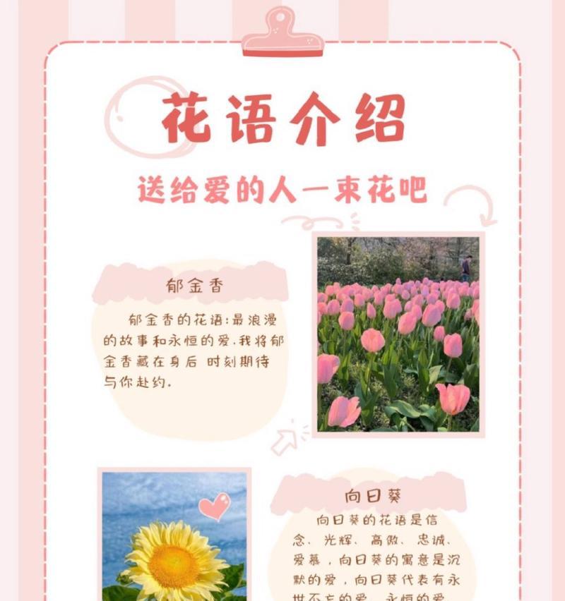 爱的花语为何要人尽皆知？表达爱意的方式有哪些？