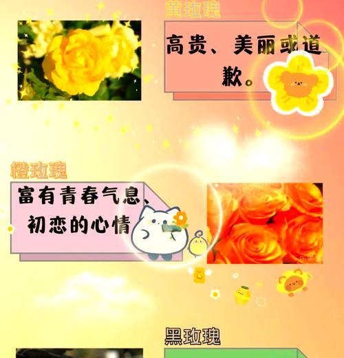 哪种花的花语比玫瑰更美？最美的花语是什么？
