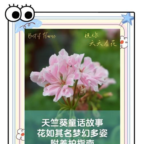 火焰天竺的花语有何含义？