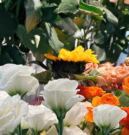 红玫瑰与白郁金香组合的花语是什么？两种花搭配的寓意是什么？