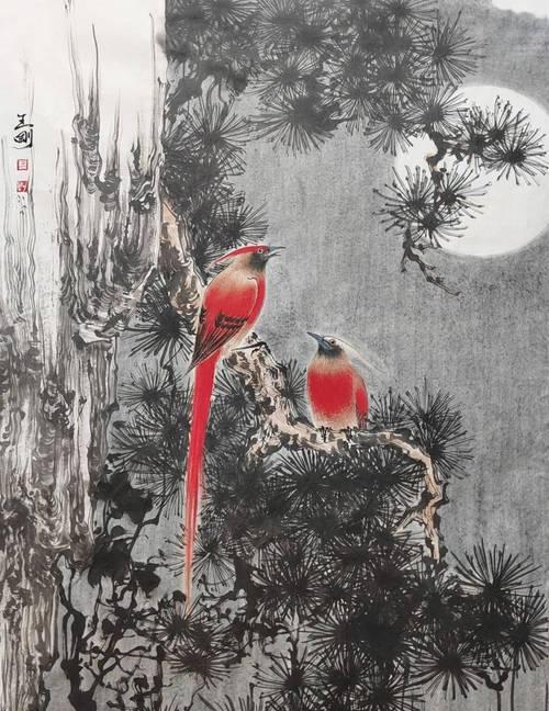 绶带鸟的寓意和花语有哪些？