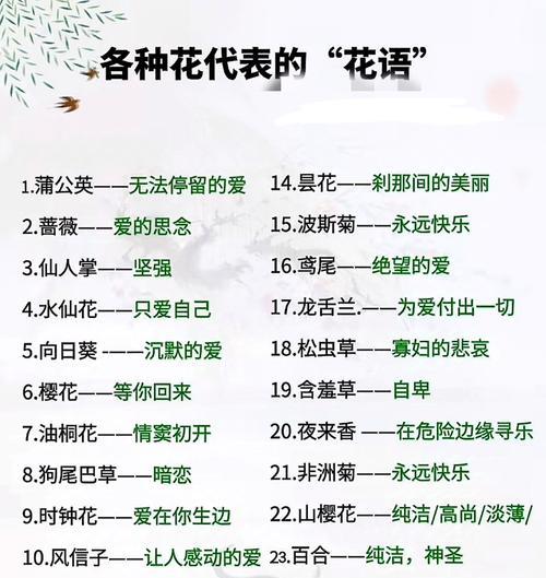 咸甜爱情的花语由哪种花表达？