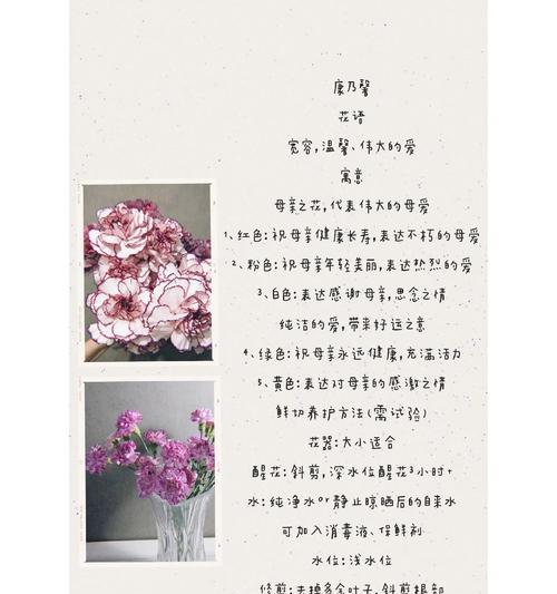 订婚时送给妈妈的花花语是什么？订婚送妈妈的花有何寓意？