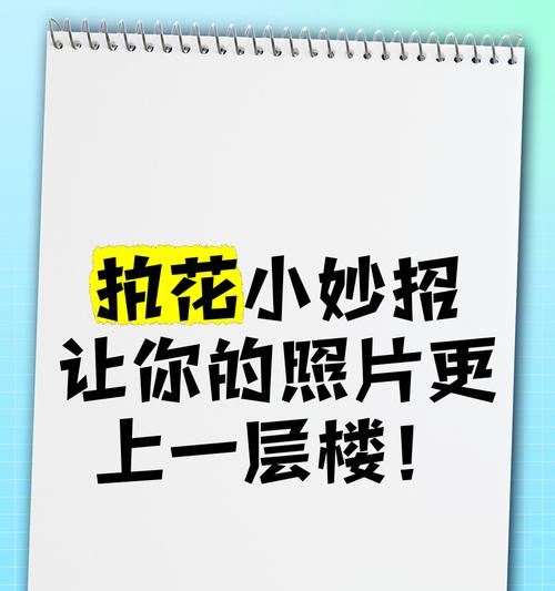 拍拍身边的花语是什么？它传递了什么信息？