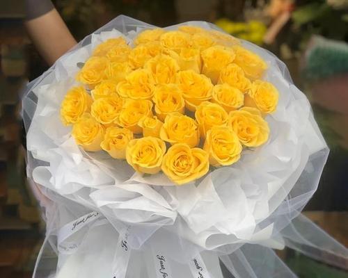 黄玫瑰与紫罗兰花语为何不同？