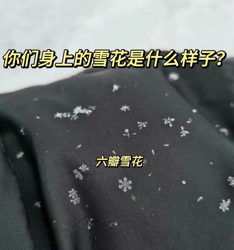 雪花酒的花语含义是什么？雪花酒代表了哪些寓意？