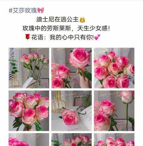 花语公主大结局是什么？结局中隐藏了哪些花语？