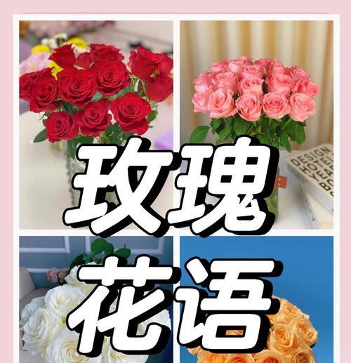 粉玫瑰的花语有哪些？它象征着什么？