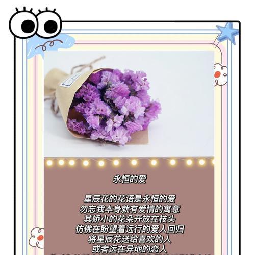 花语有遗忘的意思吗是什么？哪种花代表忘记？