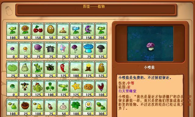 小饼干植物花语是什么？这种植物的名字有何特别含义？