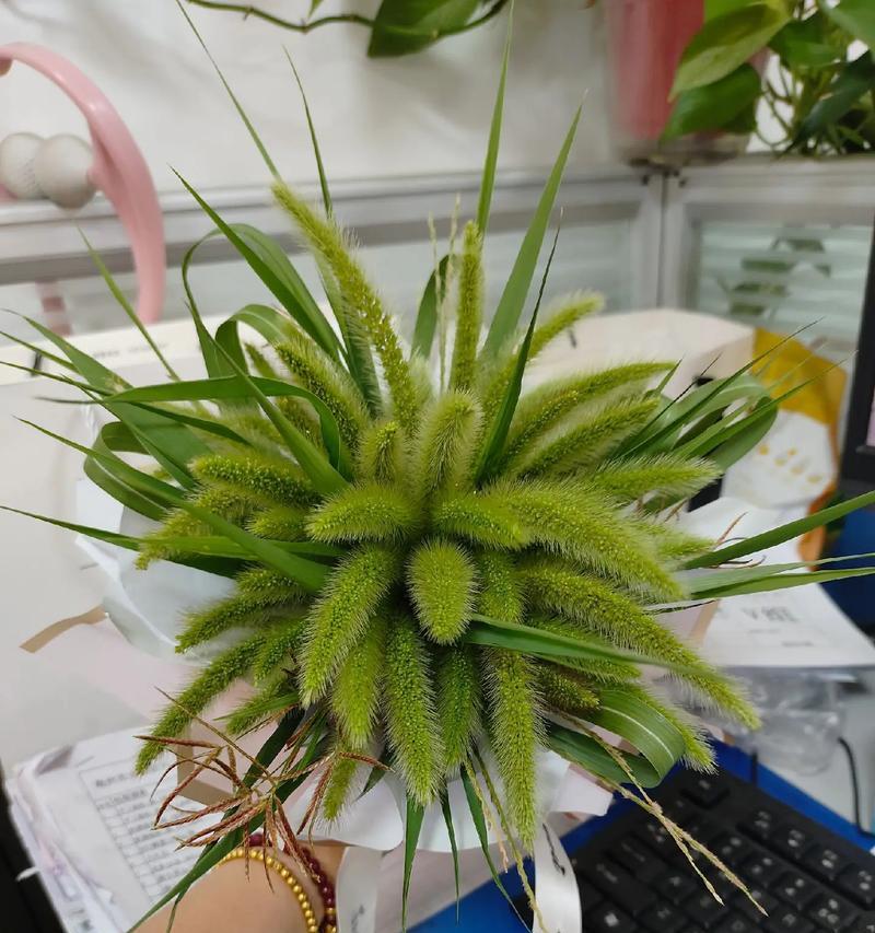 表达空虚寂寞情感的花语有哪些？