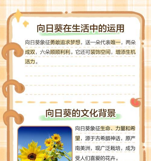 向日葵的花语有哪些含义？它的好朋友是谁？