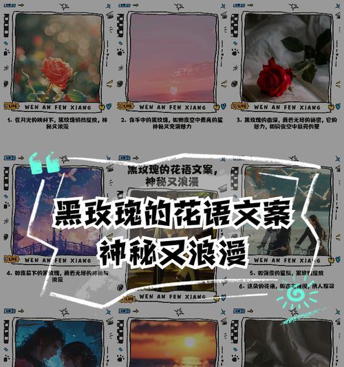 红色与黑色玫瑰组合的花语是什么？它传递了什么信息？