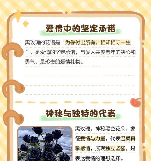 红色与黑色玫瑰组合的花语是什么？它传递了什么信息？