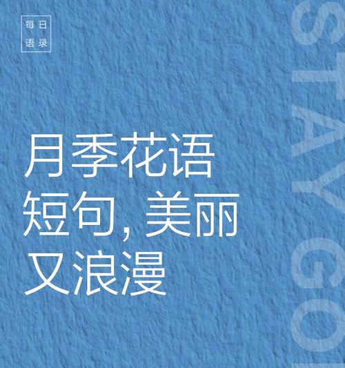月季花的花语有哪些？它象征着什么意义？