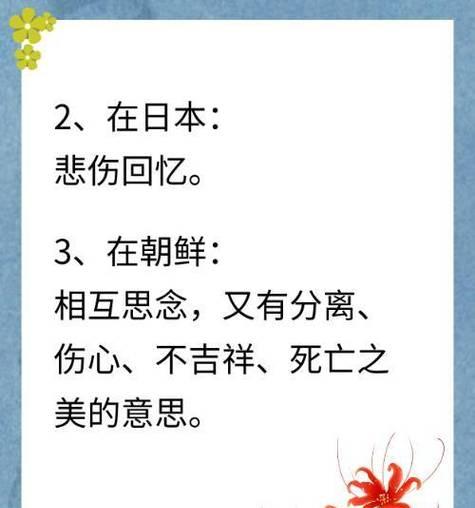 辉煌花语的花语有何深意？它象征着什么？