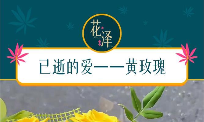 红玫瑰与黄玫瑰组合的花语是什么？